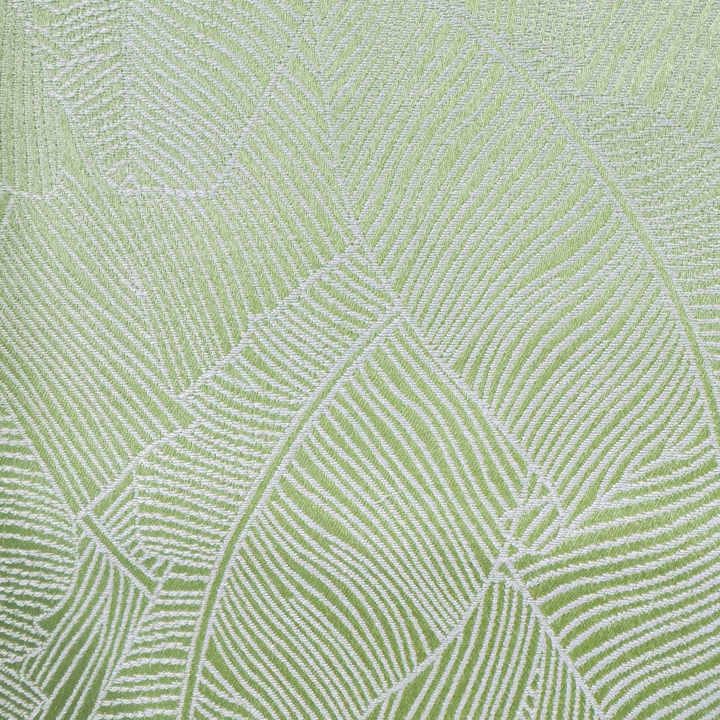 Calista pale green-6 Calista