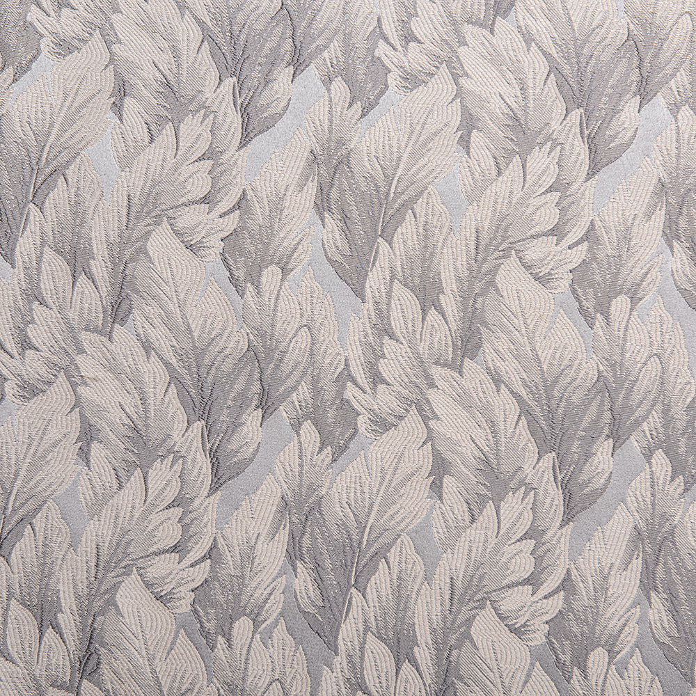 Fern Gray-7 Fern